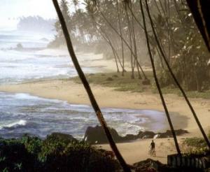 Barberyn Beach Ayurveda Resort Barberyn Beach Ayurveda Resort