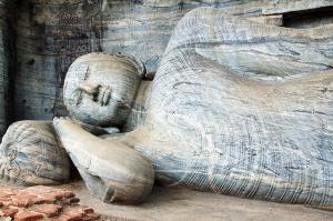 Der Zauber Sri Lankas Der Zauber Sri Lankas