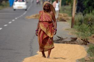 Gujarat Explorer Gujarat Explorer