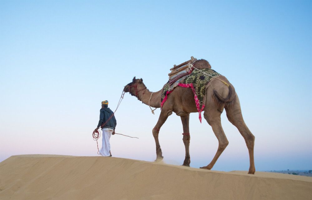 Indien - Fotografische Höhepunkte im Wüstenstaat Rajasthan und Besuch des Nagaur Kamel-Festivals