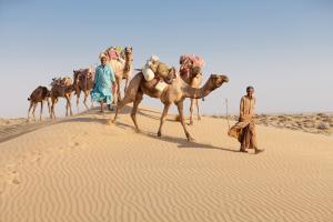 Indien: Rajasthan & Nordindien – Die ausführliche Reise