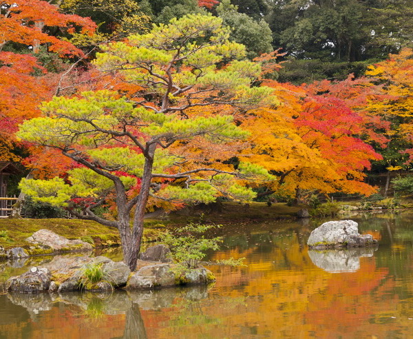 Japan - Komfort auf Japanisch