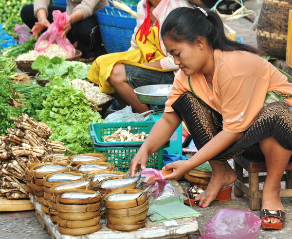 Laos & Kambodscha - Aktiv im Artenparadies Mekong