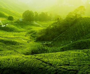 Malaysia - Unbekanntes Asien entdecken Malaysia - Unbekanntes Asien entdecken