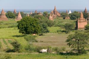 Myanmar Privat - Mittendrin und Meer Myanmar Privat - Mittendrin und Meer