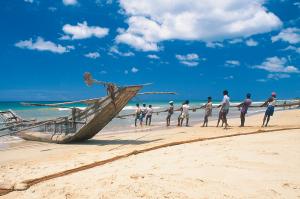 Natürlich Sri Lanka! Natürlich Sri Lanka!