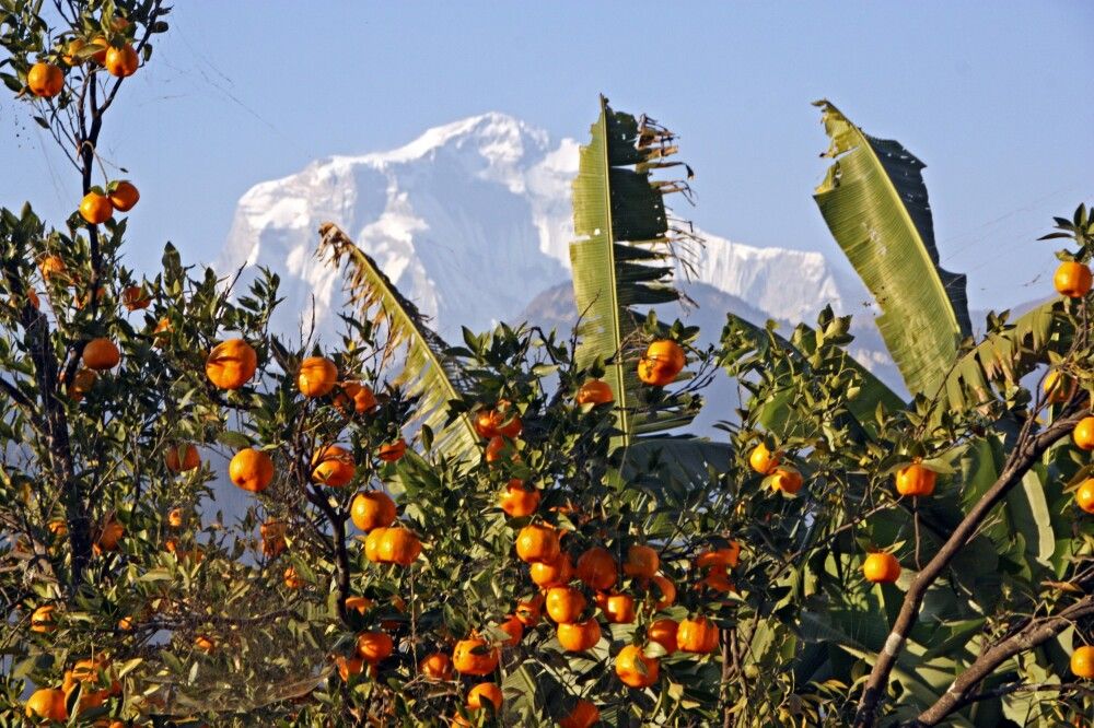 Nepal - Einsame Pfade im Annapurna-Gebiet