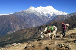 Nepal - Gosainkund und Helambu Nepal - Gosainkund und Helambu