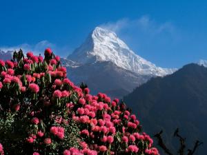 Nepal - Große Annapurna-Runde Nepal - Große Annapurna-Runde