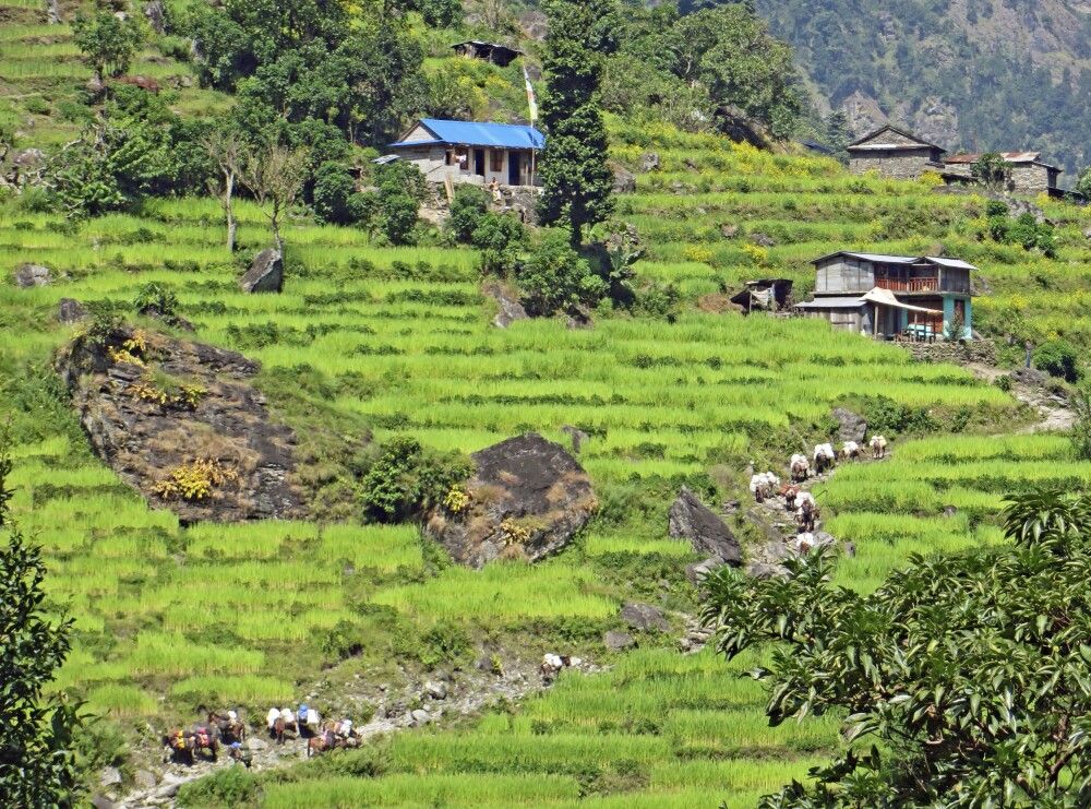 Nepal - Manaslu und Annapurna