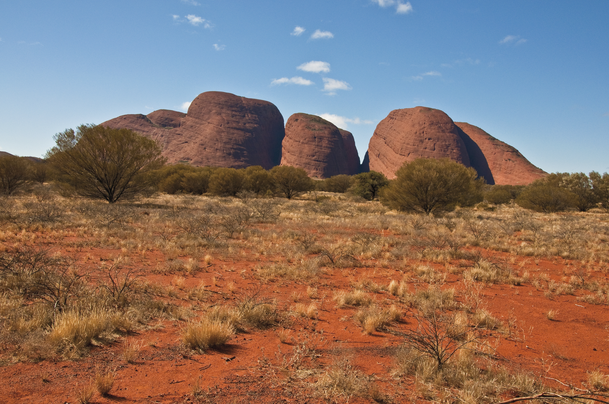 Kata Tjuta (Olgas)