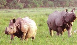 Sikkim - Bengalen: Vom Himalaya zum Gangesdelta Sikkim - Bengalen: Vom Himalaya zum Gangesdelta