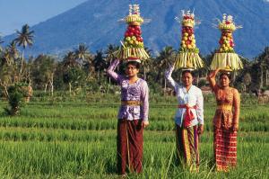 Singapur und Bali Singapur und Bali