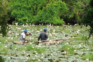 Sri Lanka  -  Inselträume im Indischen Ozean