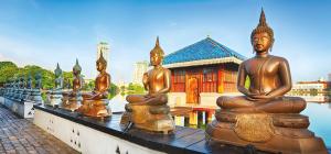 Sri Lanka: Kompakt erleben Sri Lanka: Kompakt erleben