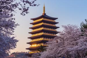 Südkorea und Japan - Zwischen Morgenstille und Megametropolen Südkorea und Japan - Zwischen Morgenstille und Megametropolen