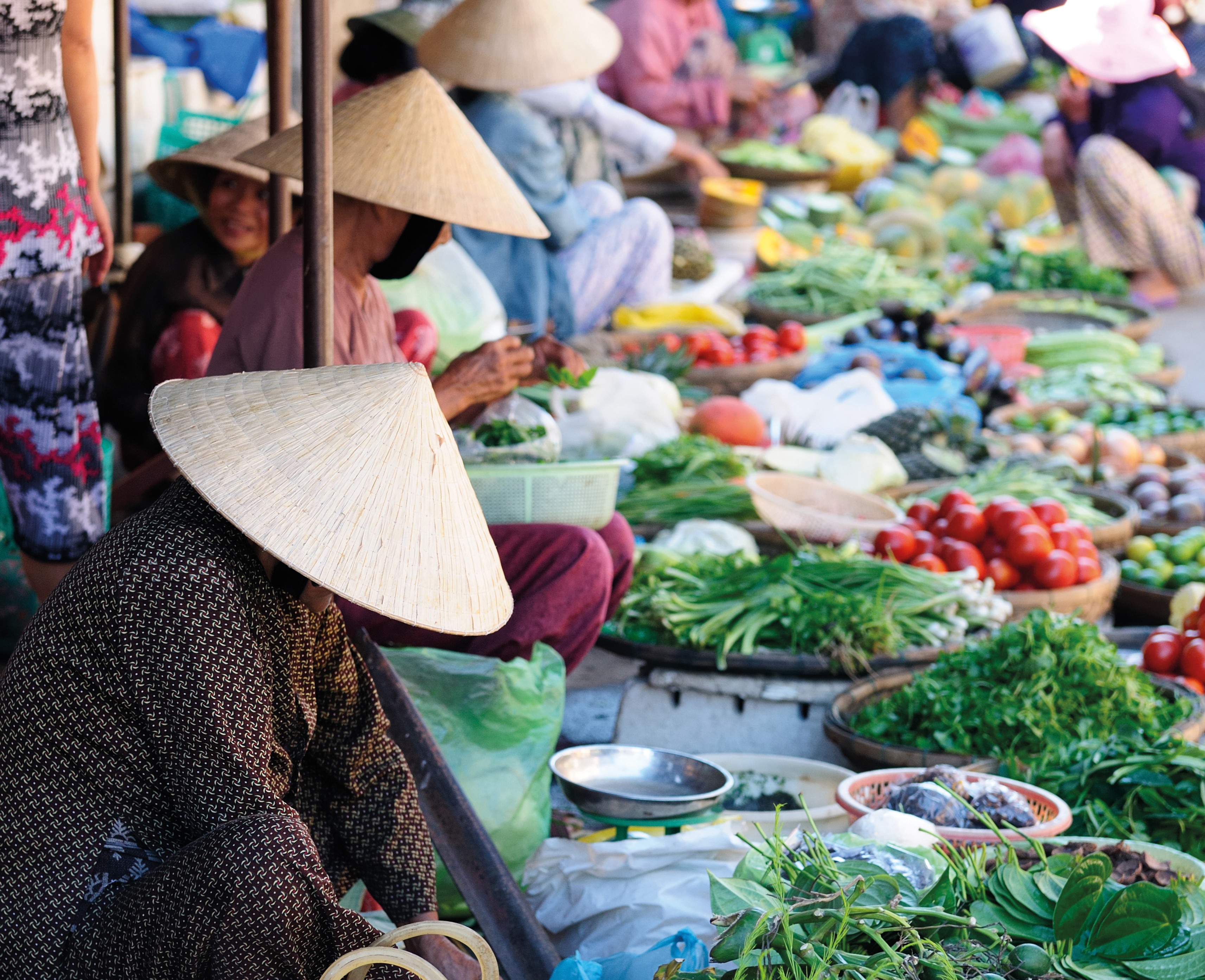 Vietnam & Kambodscha: Höhepunkte