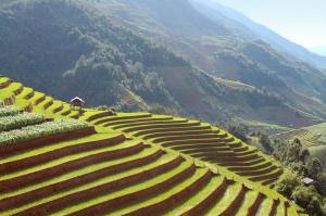 Vietnam - Im Herzen der Reisterrassen Vietnam - Im Herzen der Reisterrassen