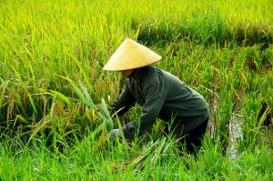 Vietnam - Mittendrin statt nur dabei Vietnam - Mittendrin statt nur dabei