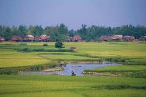 Vietnam - Privat unterwegs und unter Palmen Vietnam - Privat unterwegs und unter Palmen
